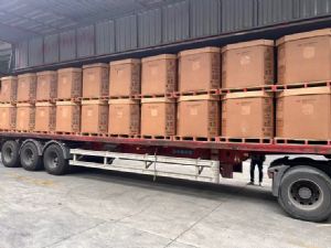 沙林塑料Surlyn塑料